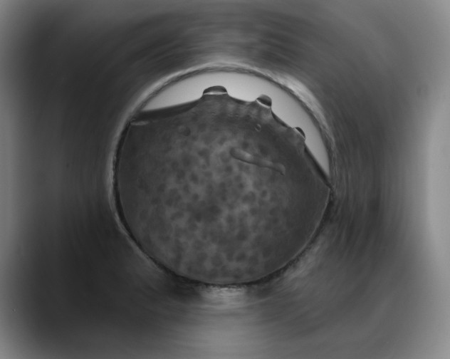 X0000088691183200706141407