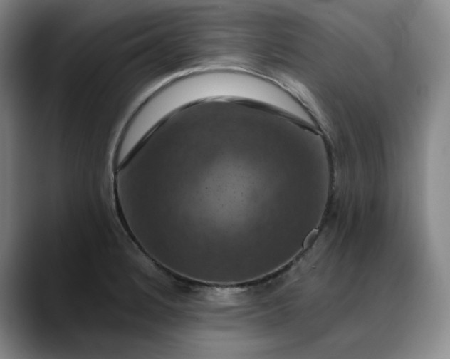 X0000088691184200706141407
