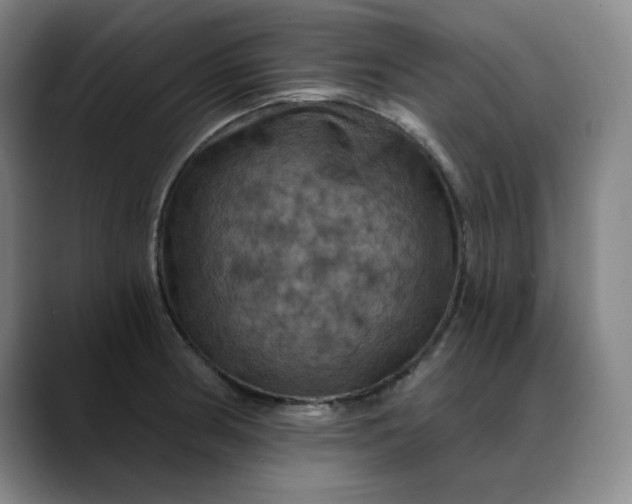 X0000088691186200706141407