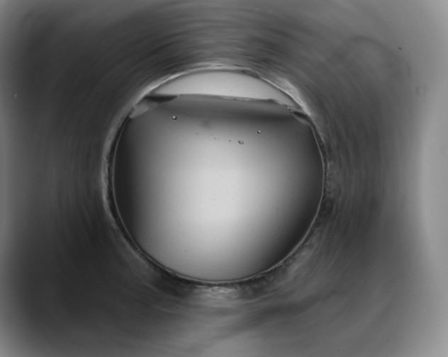 X0000088691187200706141407