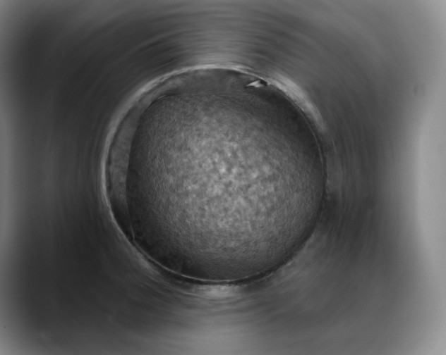 X0000088691188200706141407