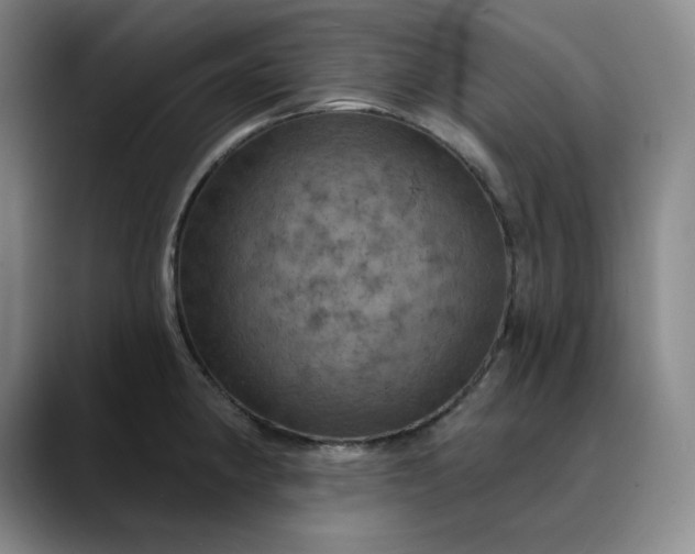 X0000088691190200706141407
