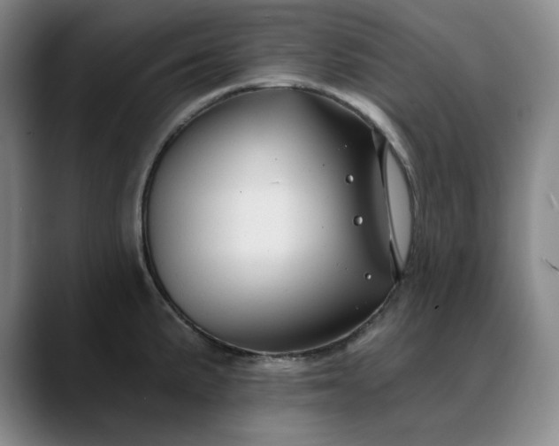 X0000088691191200706141407