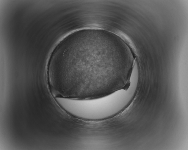 X0000088691192200706141407