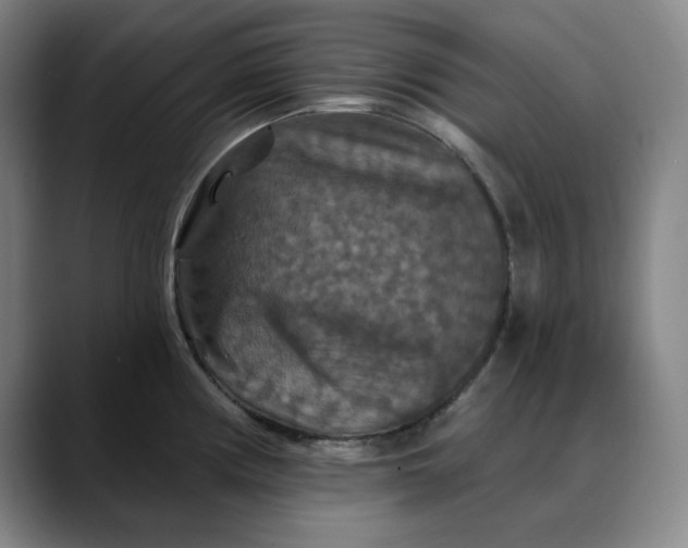 X0000088691194200706141407