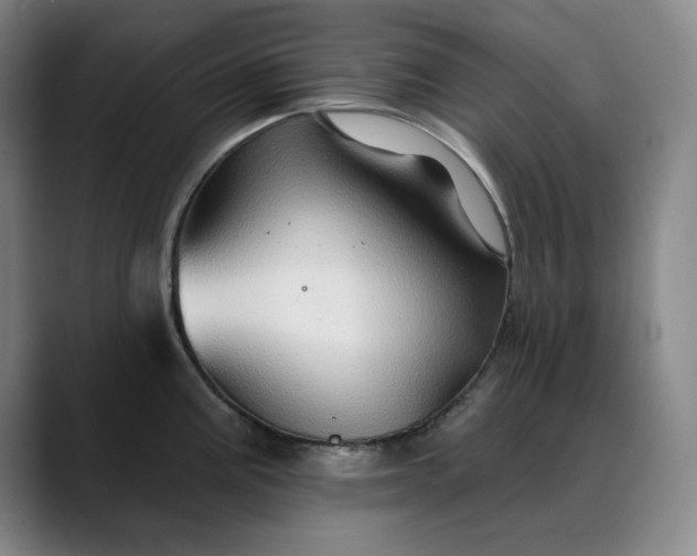 X0000088691195200706141407