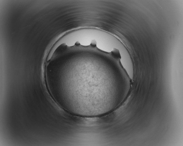 X0000088691196200706141407