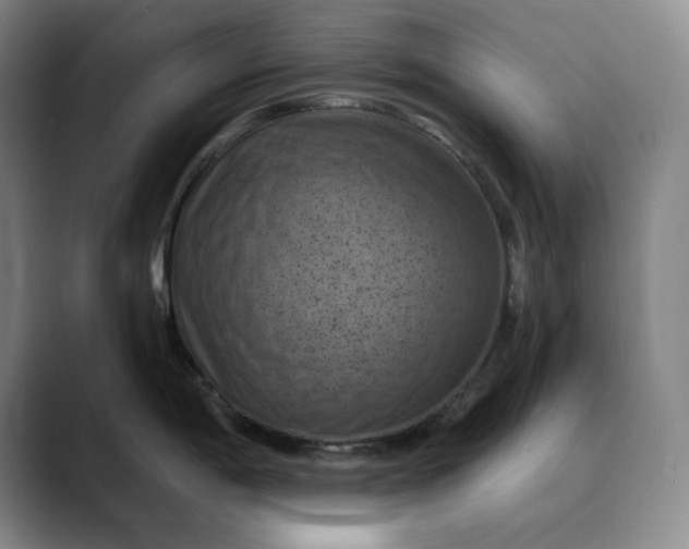 X0000088691198200706141407