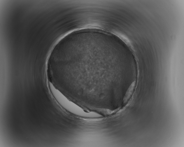 X0000088691200200706141407