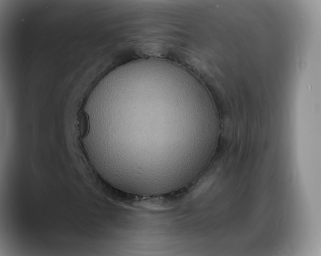 X0000088691201200706141406