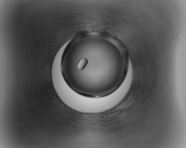 X0000088691202200706141406