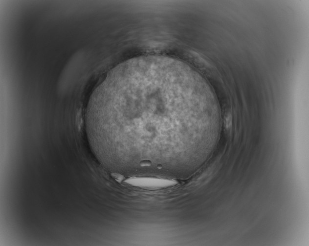 X0000088691204200706141406