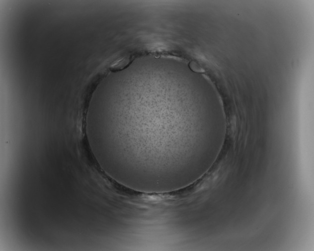 X0000088691205200706141406