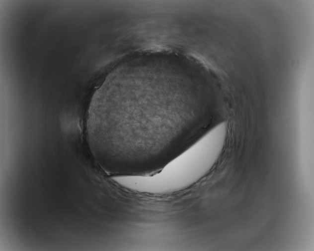 X0000088691206200706141406