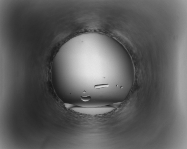 X0000088691207200706141406