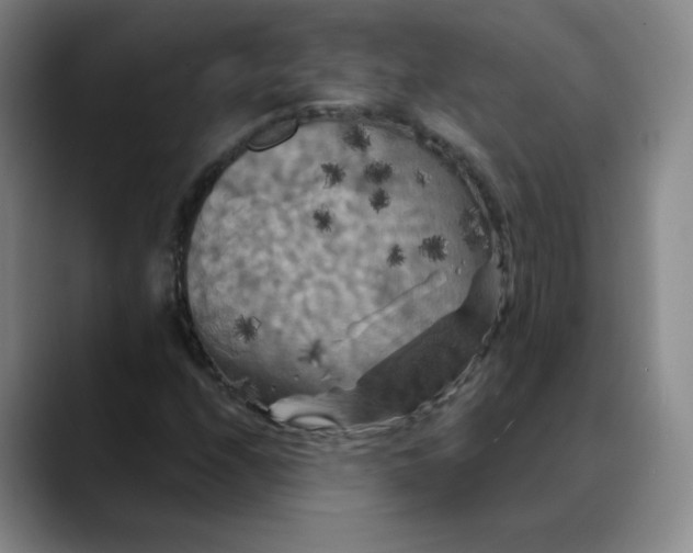 X0000088691208200706141406
