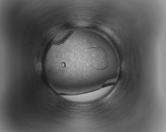 X0000088691209200706141406