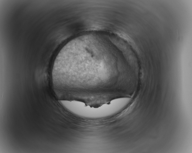 X0000088691210200706141406