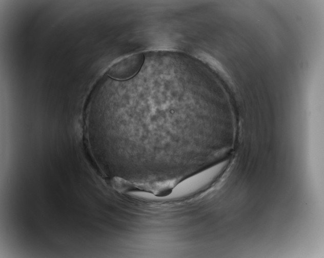 X0000088691212200706141406