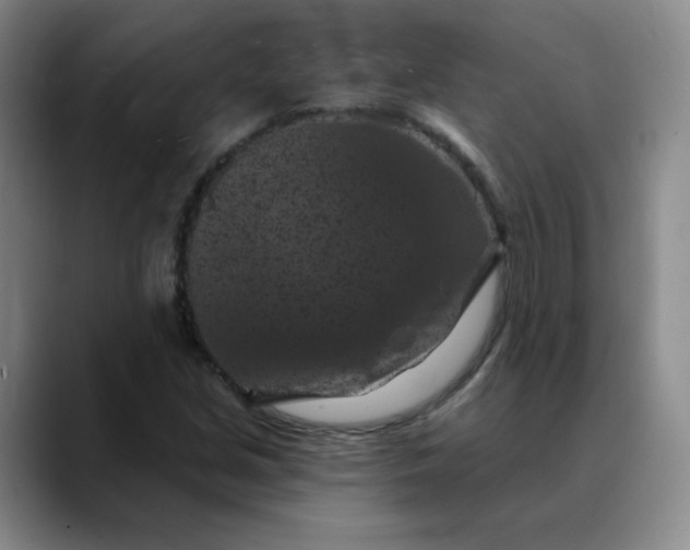 X0000088691213200706141406