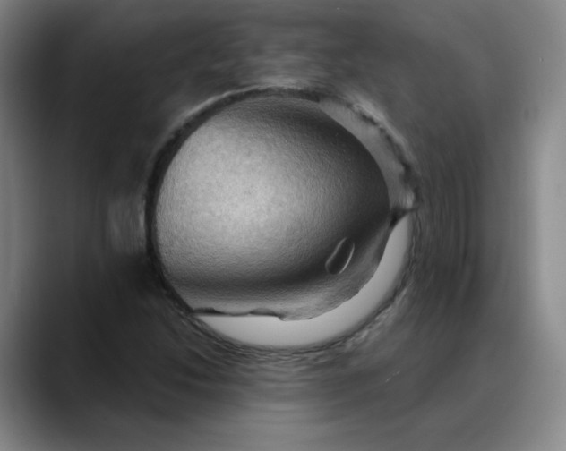 X0000088691214200706141406
