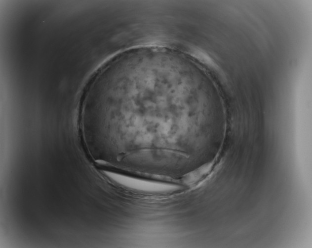X0000088691216200706141406