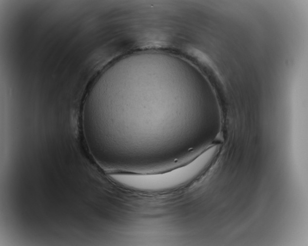 X0000088691217200706141406