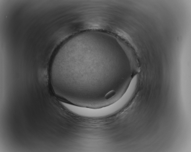 X0000088691218200706141406