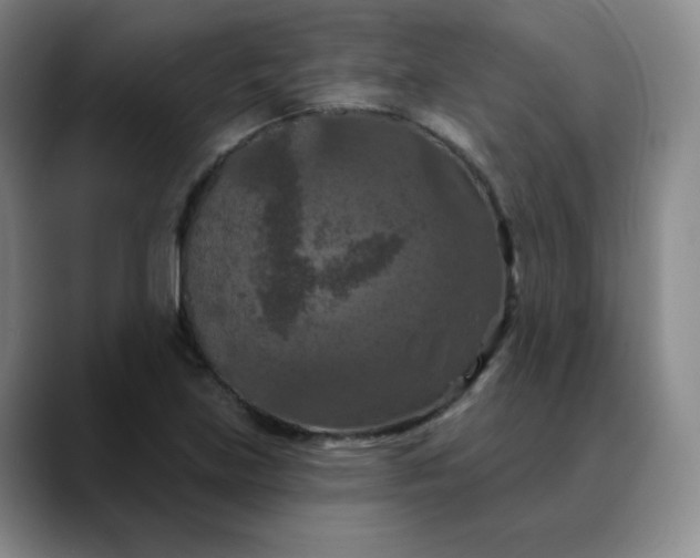 X0000088691219200706141406