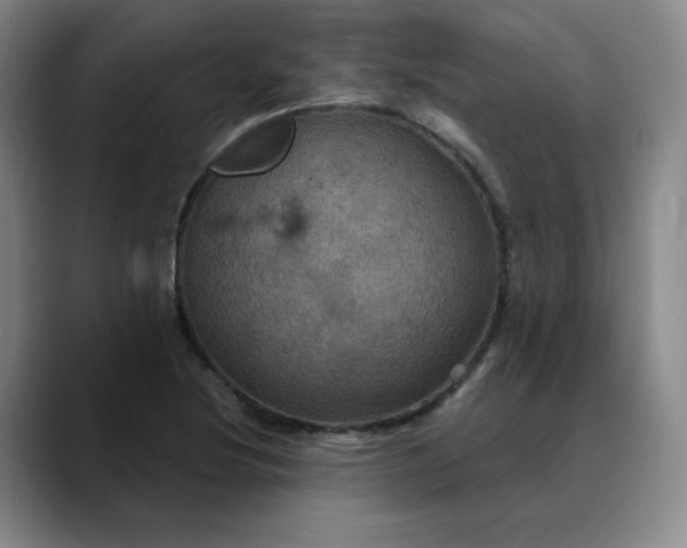 X0000088691220200706141406