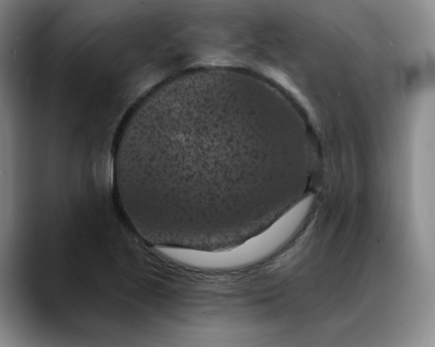 X0000088691221200706141406