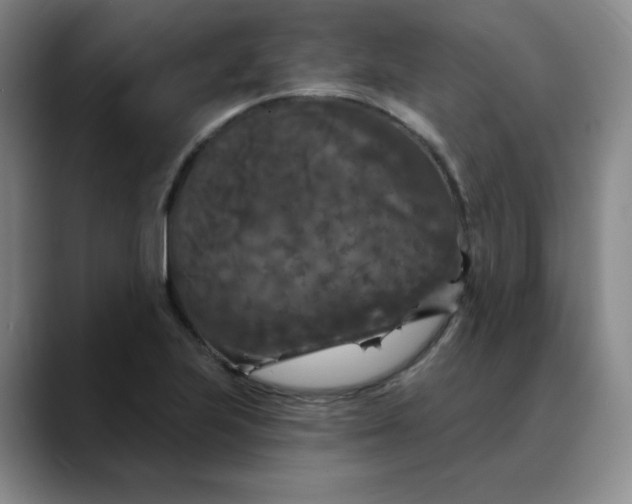 X0000088691223200706141406