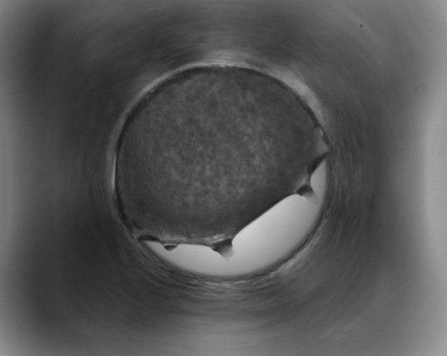 X0000088691224200706141406