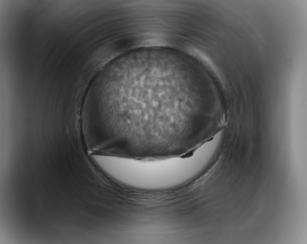 X0000088691225200706141406