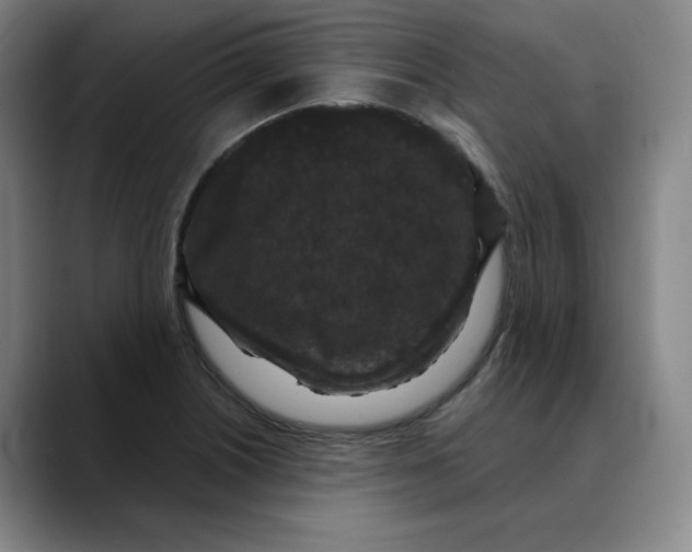 X0000088691226200706141406