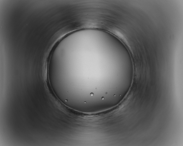 X0000088691227200706141406