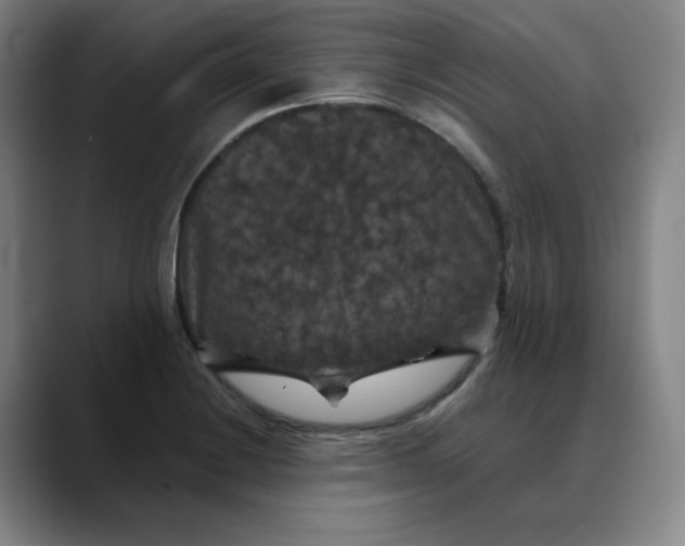 X0000088691228200706141406