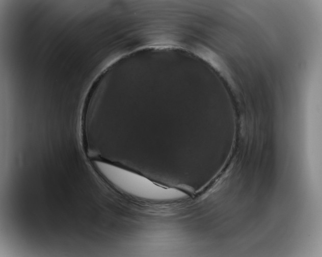 X0000088691229200706141406