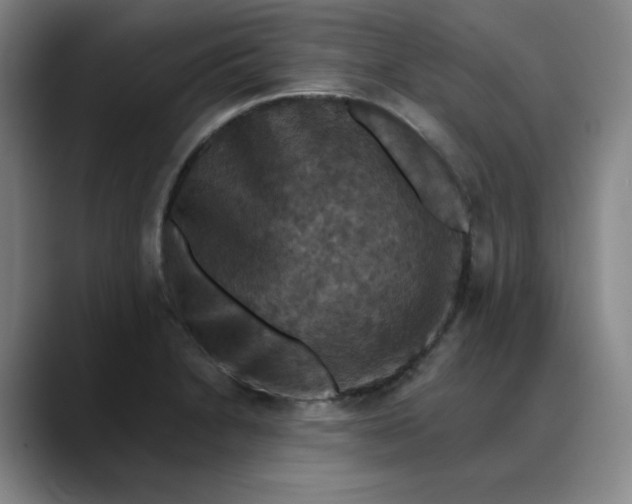 X0000088691230200706141406