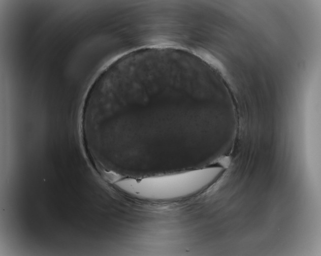 X0000088691231200706141406