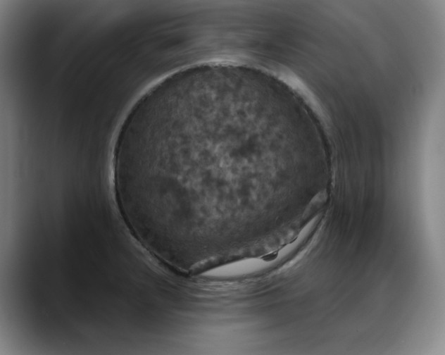 X0000088691232200706141406