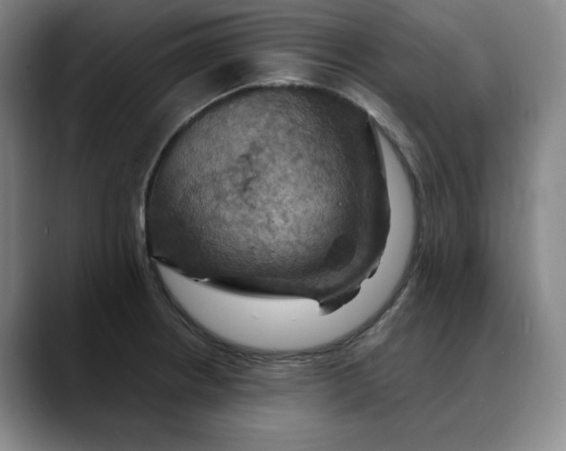 X0000088691234200706141406