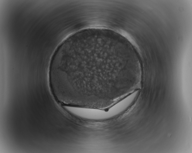 X0000088691237200706141406