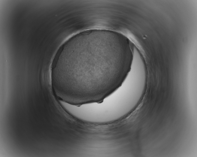 X0000088691238200706141406