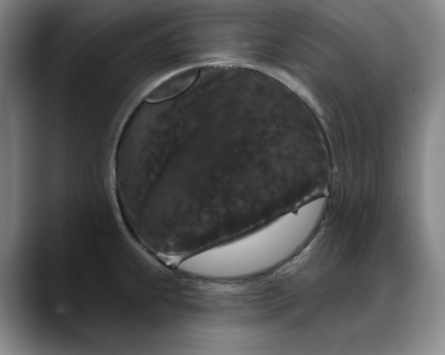 X0000088691239200706141406