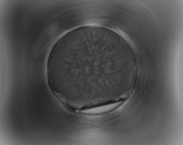 X0000088691240200706141406