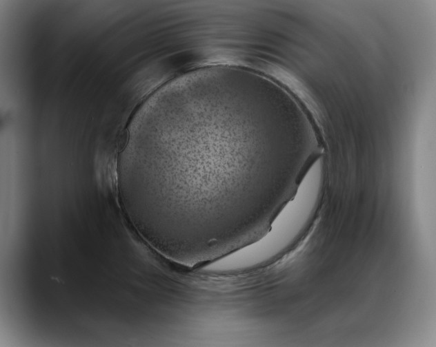 X0000088691241200706141406