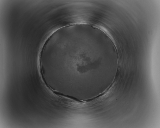 X0000088691243200706141406