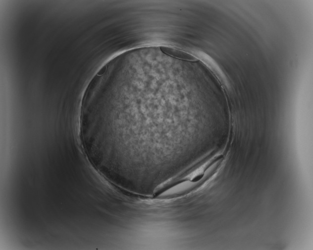 X0000088691244200706141406