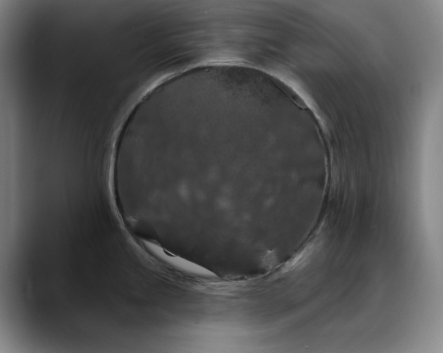 X0000088691245200706141406